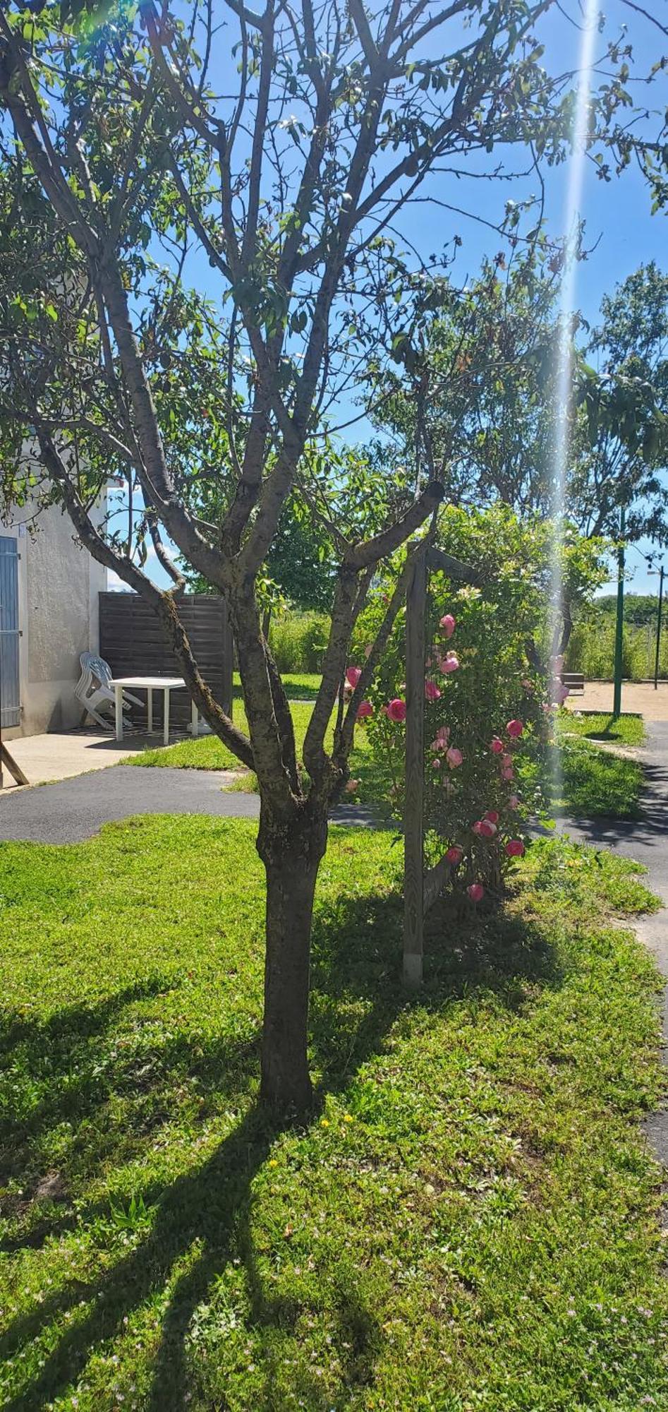 קולומבייה Le Canal Climatisation Wi-Fi Parking Jardin Piscine 15 Mn De Beziers מראה חיצוני תמונה